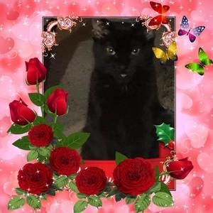 Meet your Posher, Jill